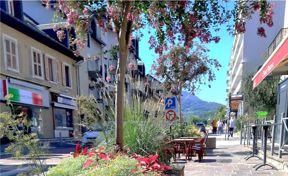 Agrandir l'image 4